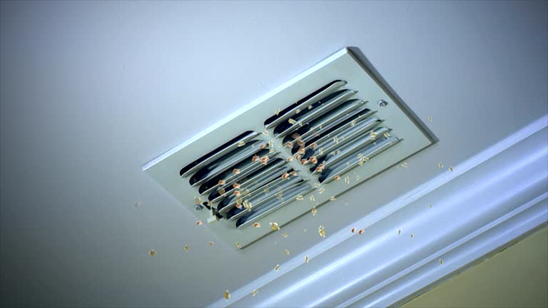 Best Air Vent Cleaning Services  in Hammond, LA