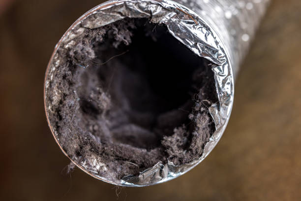 Best HVAC Duct Inspection Services  in Hammond, LA