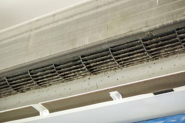 Best Commercial Air Duct Cleaning  in Hammond, LA
